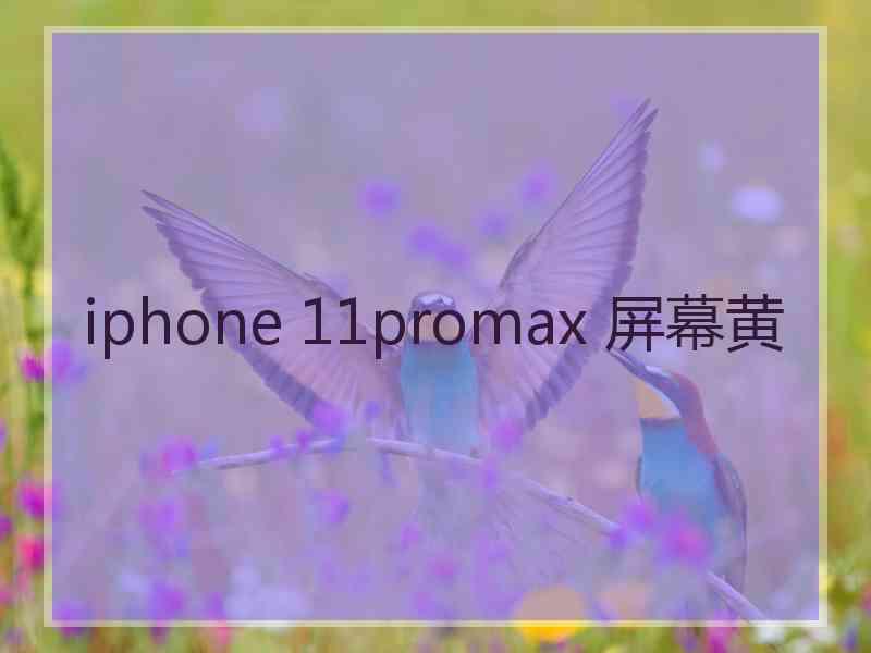 iphone 11promax 屏幕黄