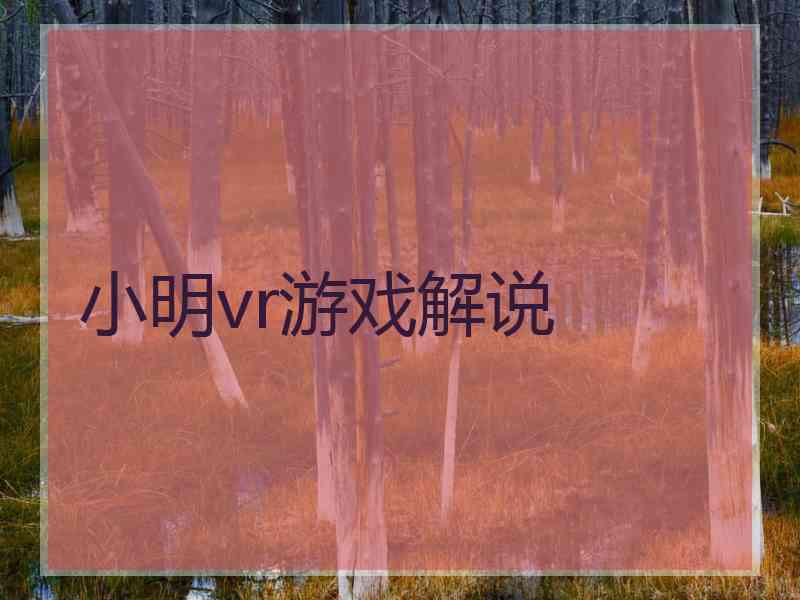 小明vr游戏解说