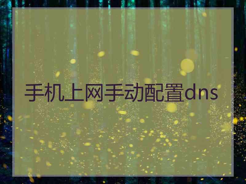 手机上网手动配置dns