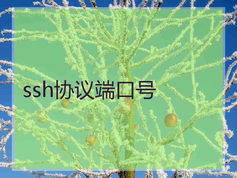 ssh协议端口号