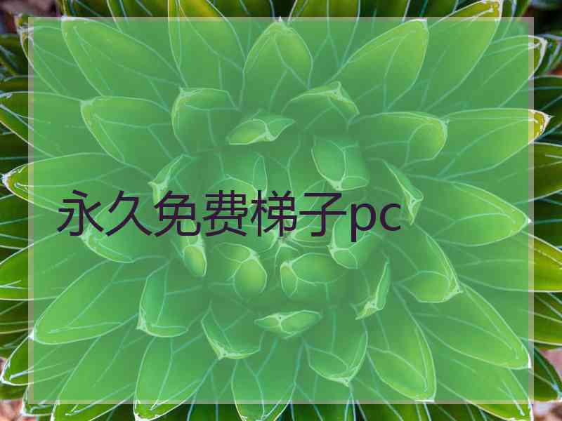 永久免费梯子pc