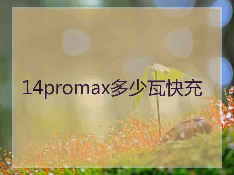 14promax多少瓦快充