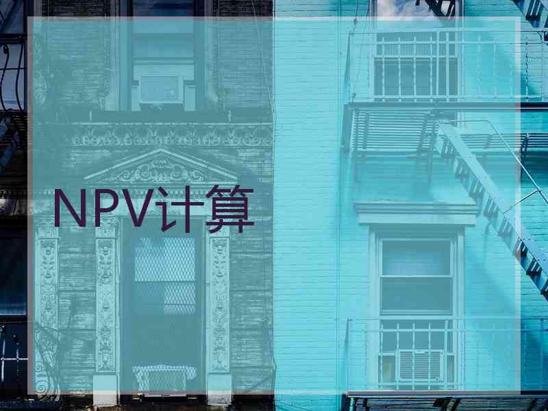 NPV计算