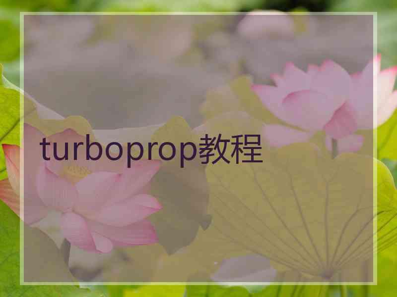 turboprop教程