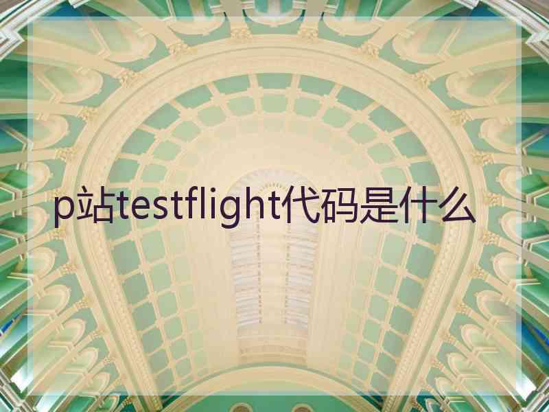 p站testflight代码是什么