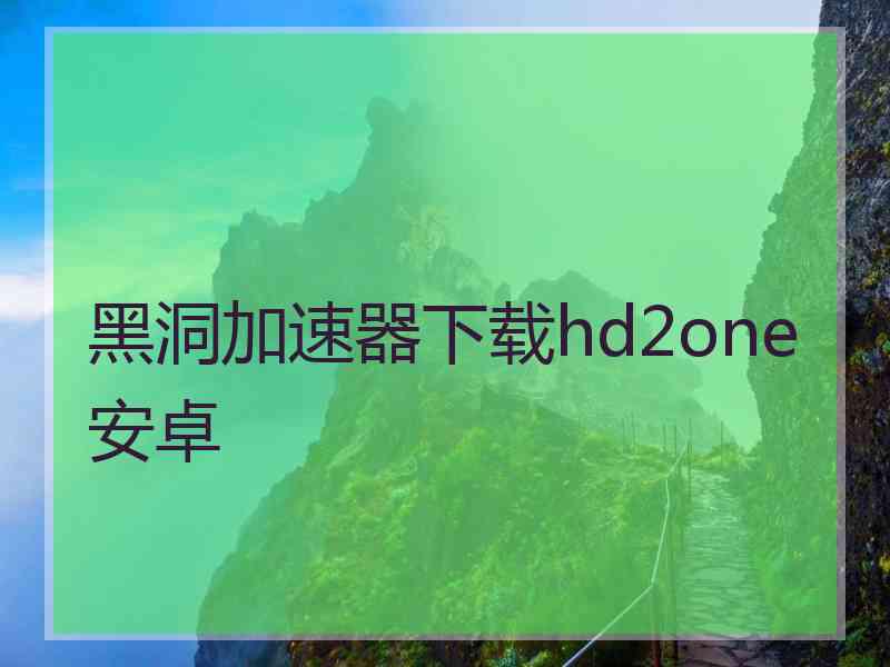 黑洞加速器下载hd2one安卓