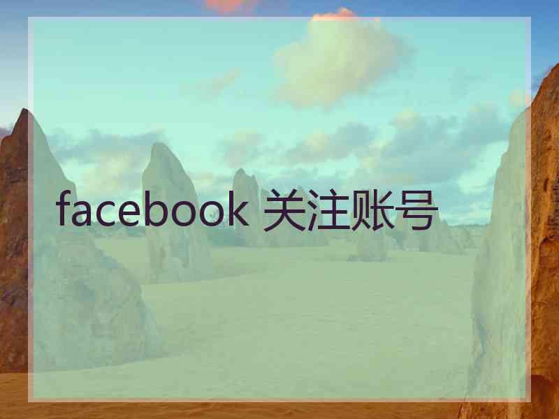 facebook 关注账号