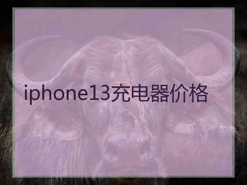 iphone13充电器价格