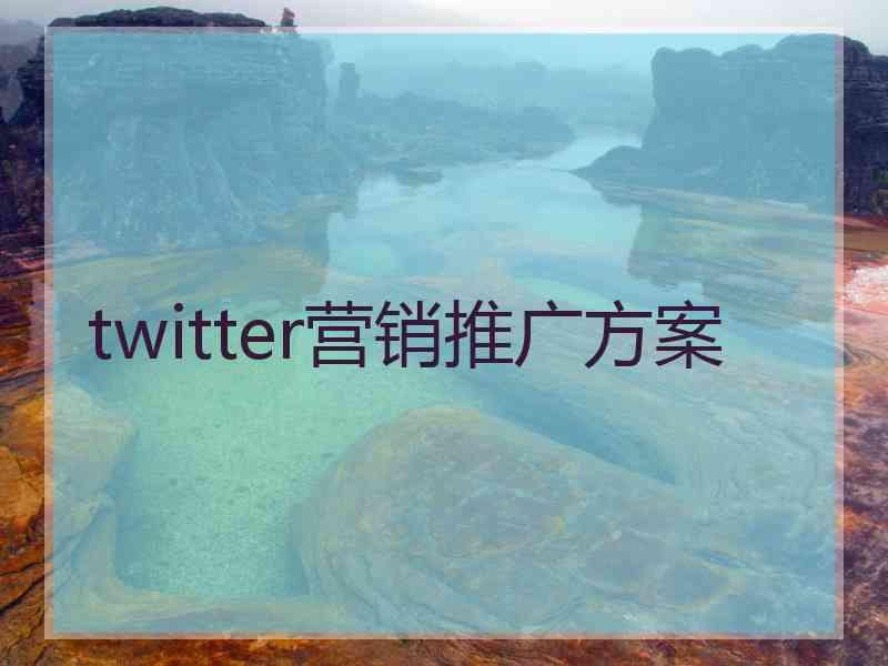 twitter营销推广方案