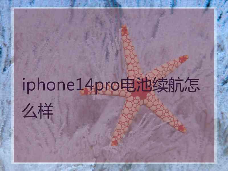 iphone14pro电池续航怎么样