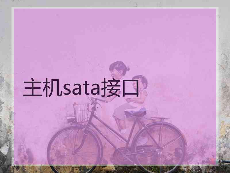 主机sata接口