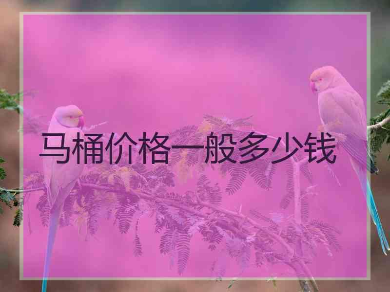 马桶价格一般多少钱