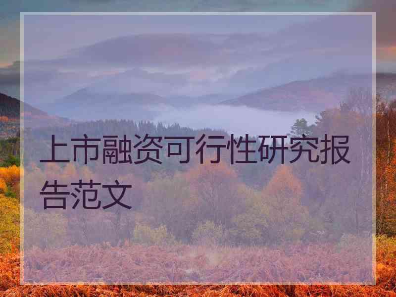 上市融资可行性研究报告范文