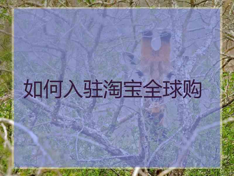 如何入驻淘宝全球购