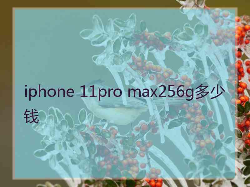 iphone 11pro max256g多少钱