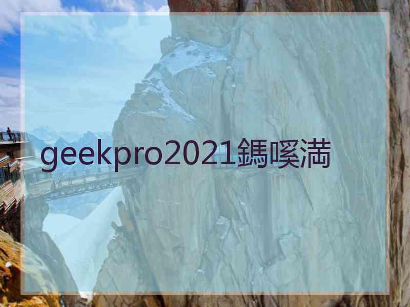 geekpro2021鎷嗘満