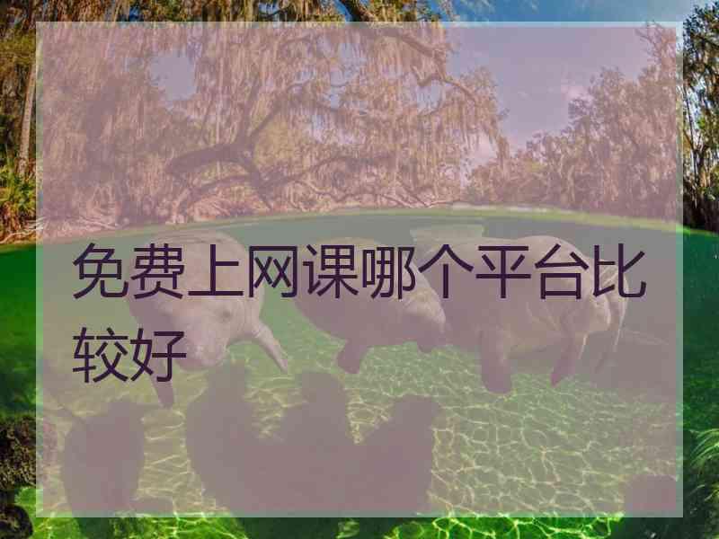 免费上网课哪个平台比较好