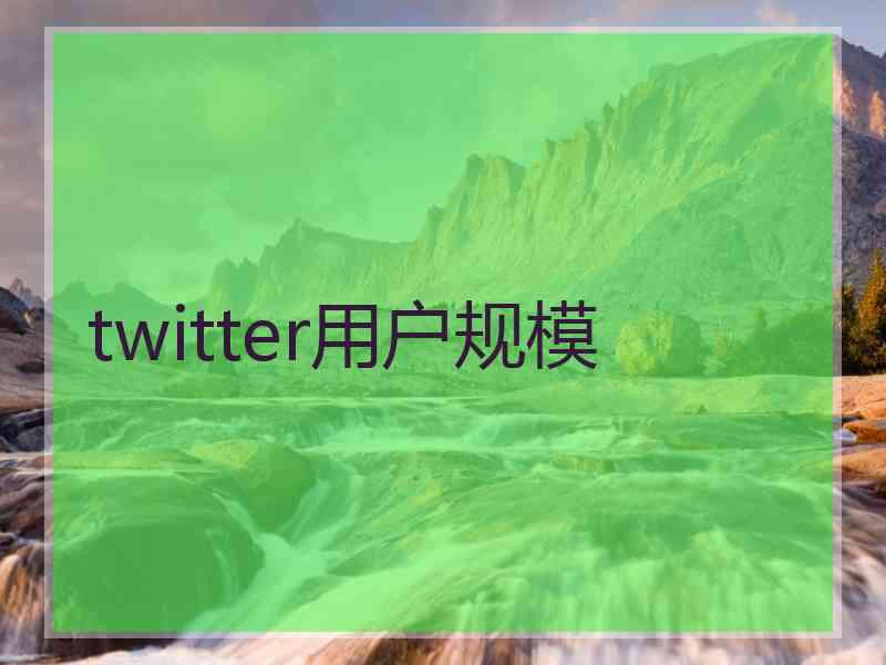 twitter用户规模