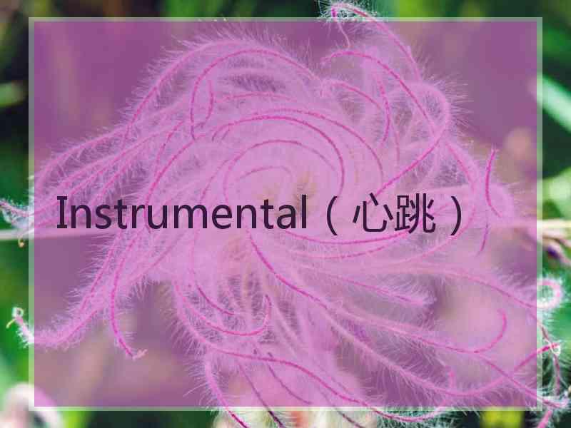 Instrumental（心跳）