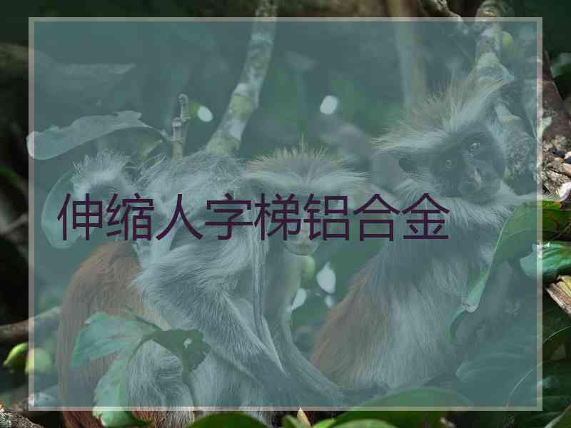 伸缩人字梯铝合金