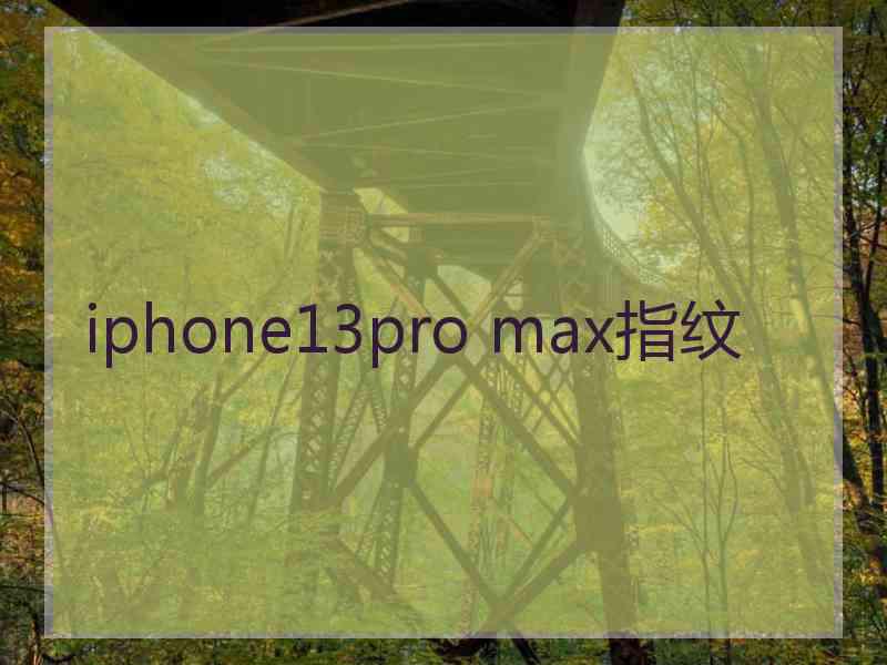 iphone13pro max指纹