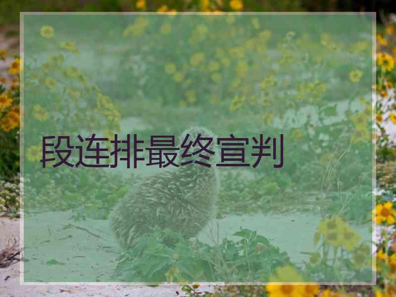 段连排最终宣判