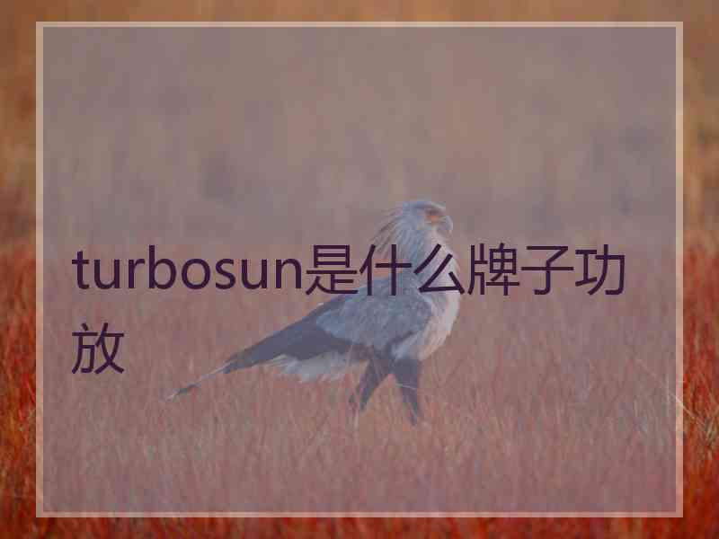 turbosun是什么牌子功放