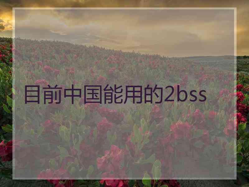 目前中国能用的2bss