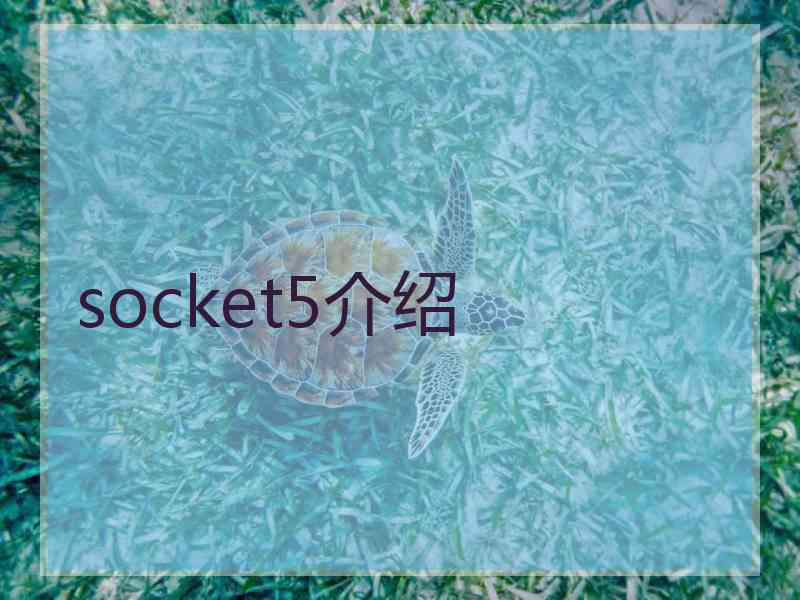 socket5介绍