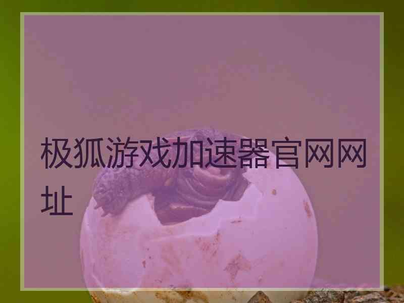 极狐游戏加速器官网网址