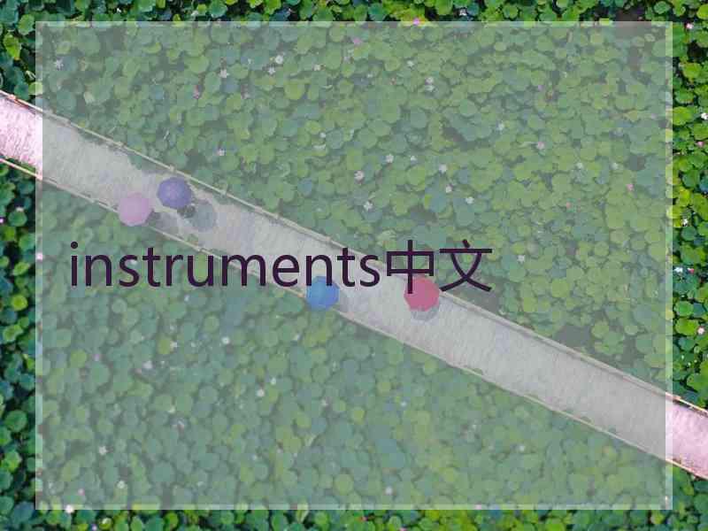 instruments中文