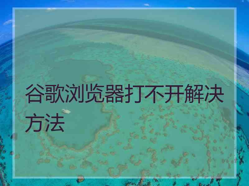 谷歌浏览器打不开解决方法