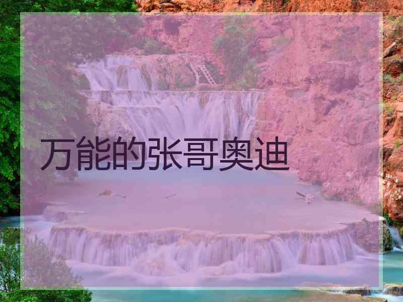 万能的张哥奥迪