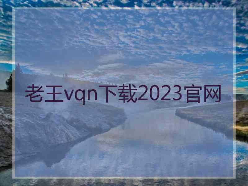 老王vqn下载2023官网