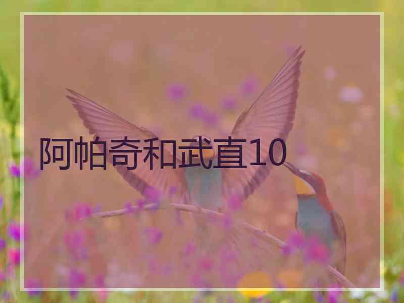 阿帕奇和武直10