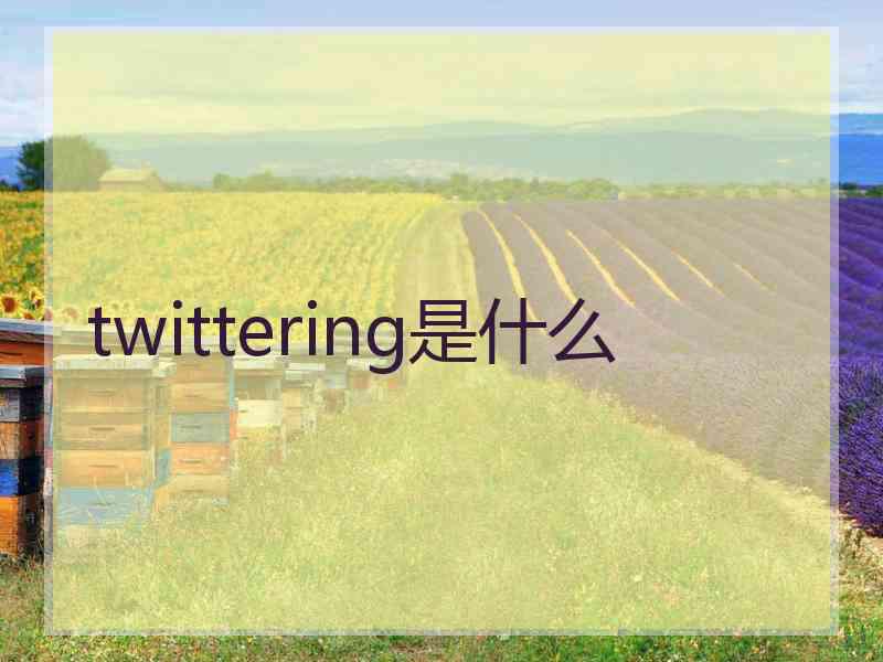 twittering是什么