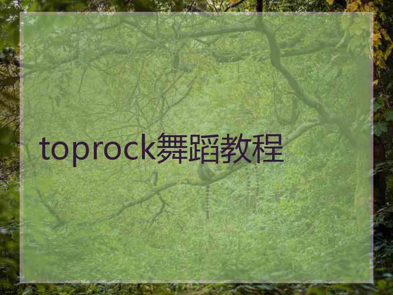 toprock舞蹈教程