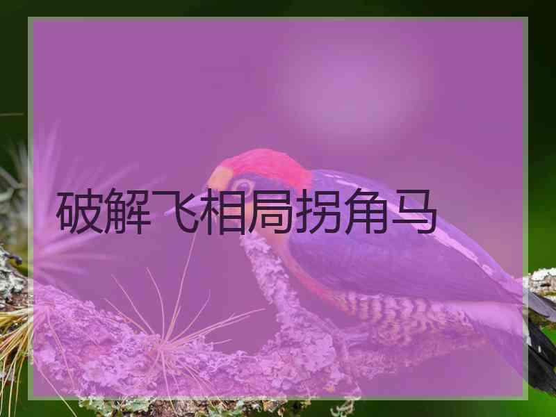 破解飞相局拐角马