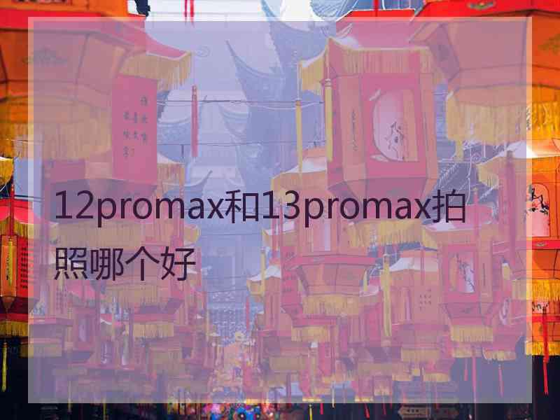 12promax和13promax拍照哪个好