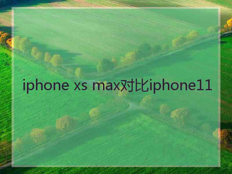 iphone xs max对比iphone11