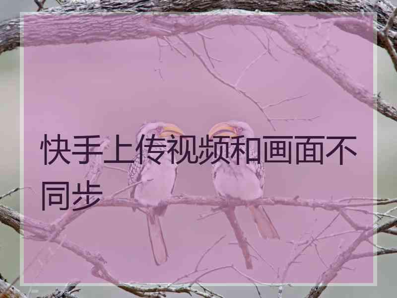 快手上传视频和画面不同步