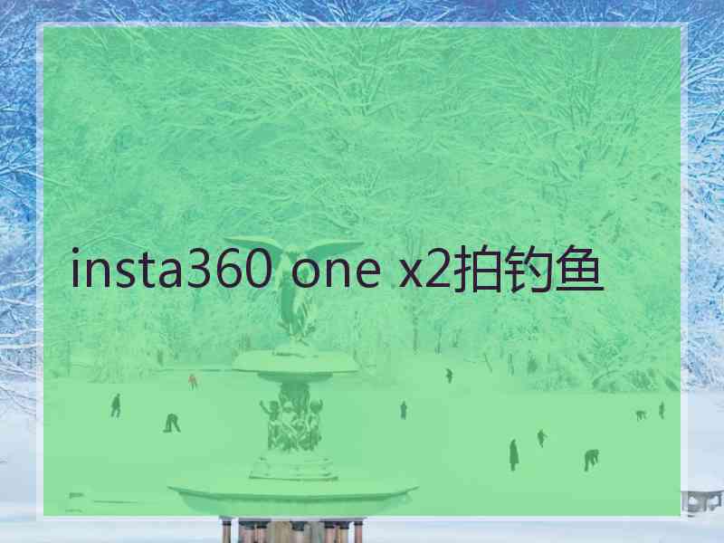 insta360 one x2拍钓鱼