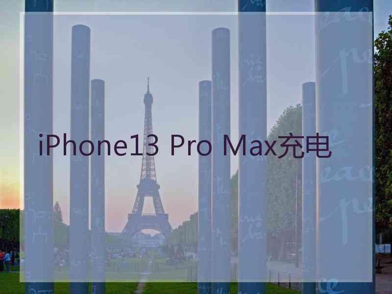 iPhone13 Pro Max充电