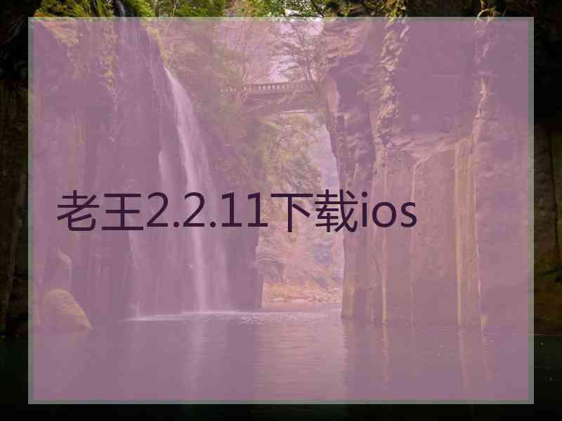 老王2.2.11下载ios