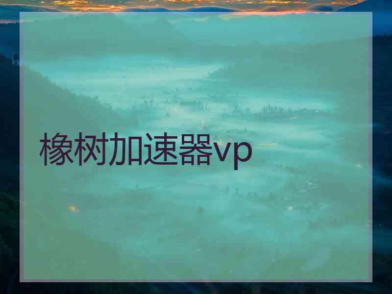 橡树加速器vp