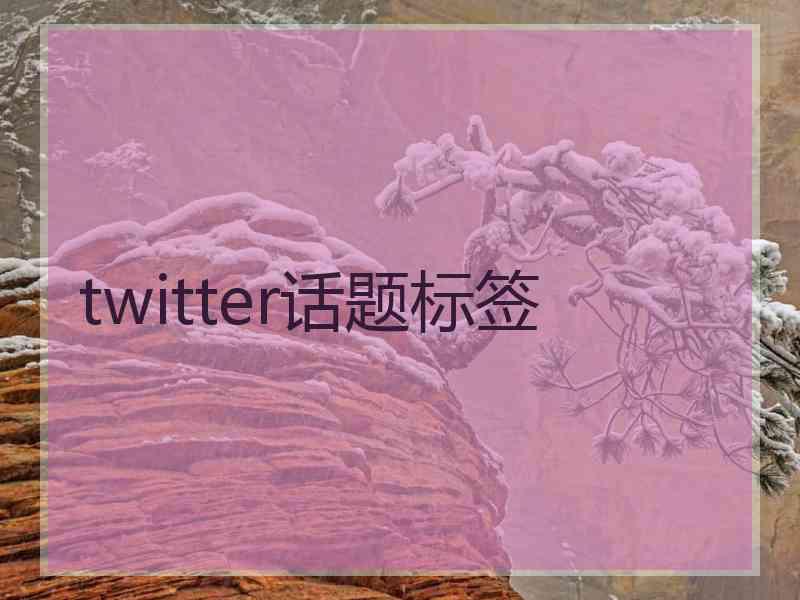 twitter话题标签