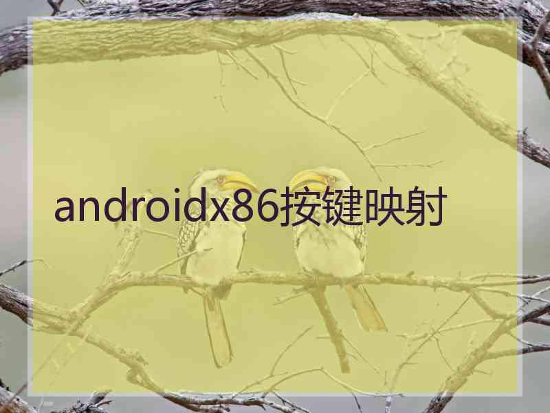 androidx86按键映射