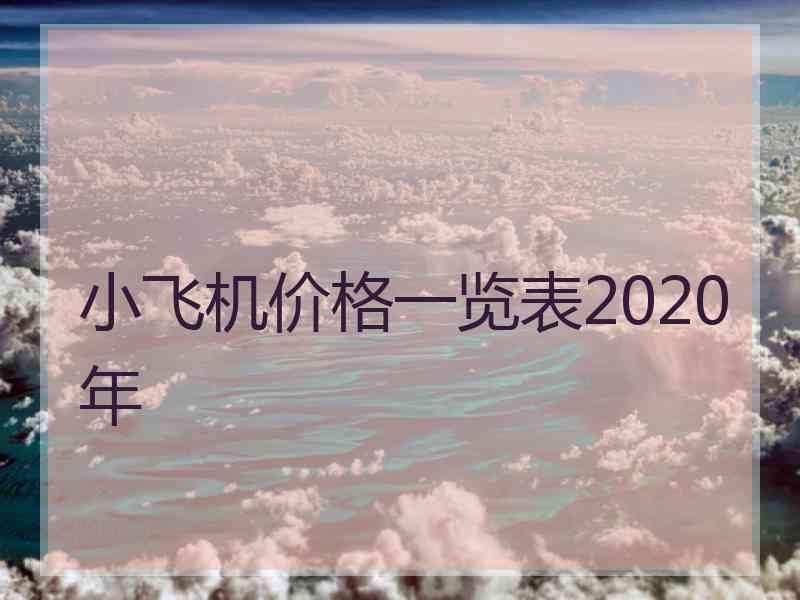 小飞机价格一览表2020年