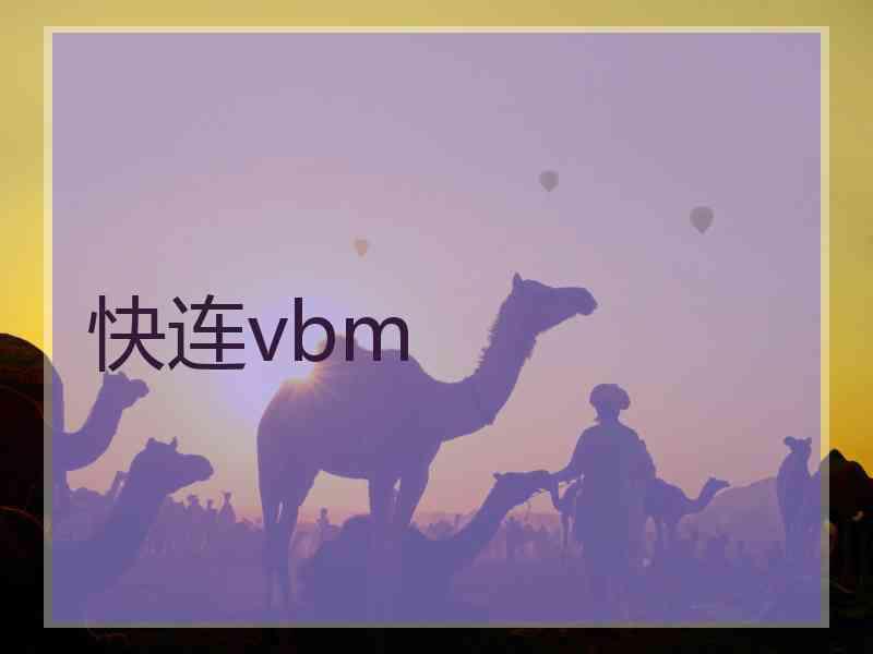 快连vbm