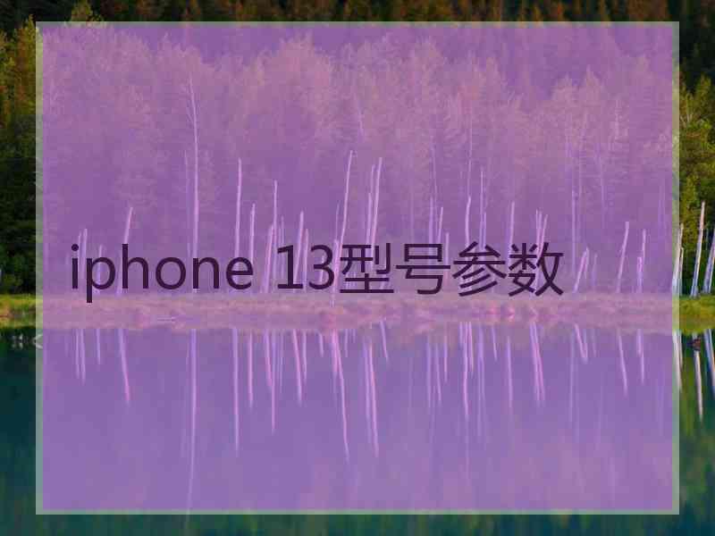 iphone 13型号参数